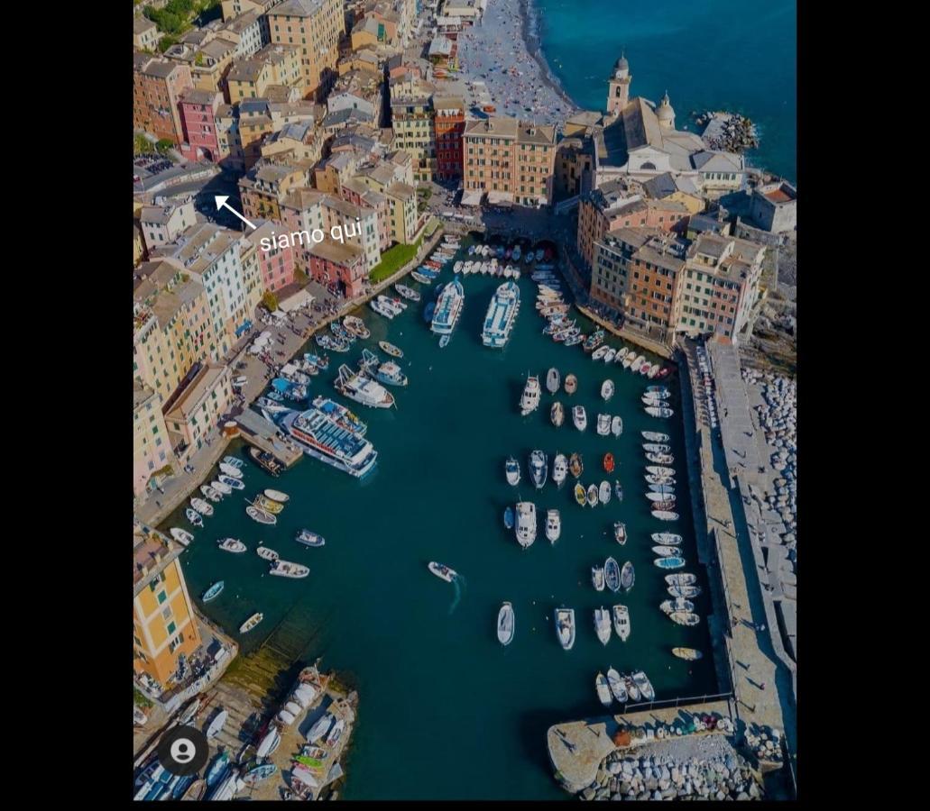 La Gioia Hotel Camogli Exterior photo